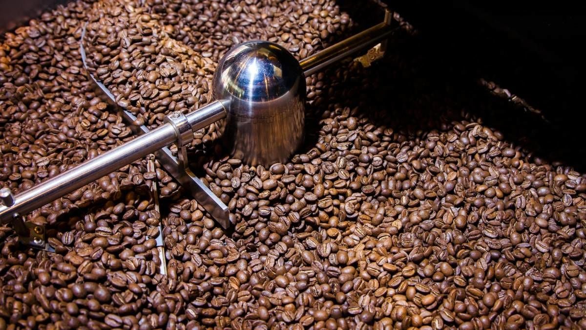 Nitelikli Kahve (Specialty Coffee) Kültürü ve Kavurma Teknikleri